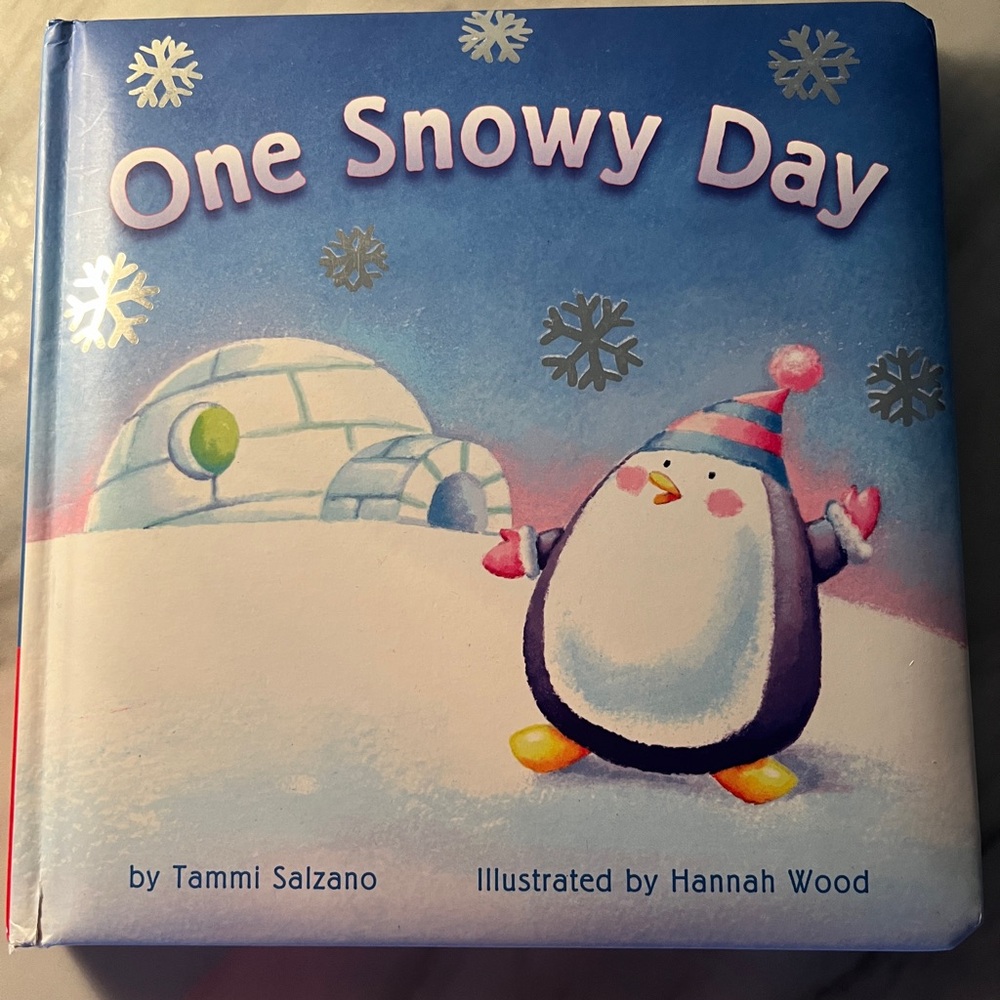 One Snowy Day book by Tammi Salzano